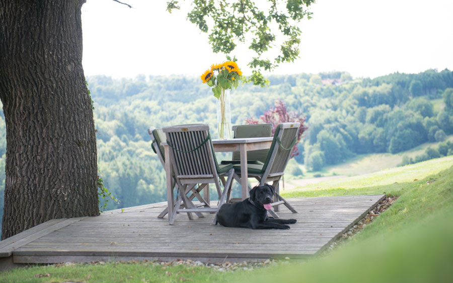 Gruppenarbeit im 20haGarten 