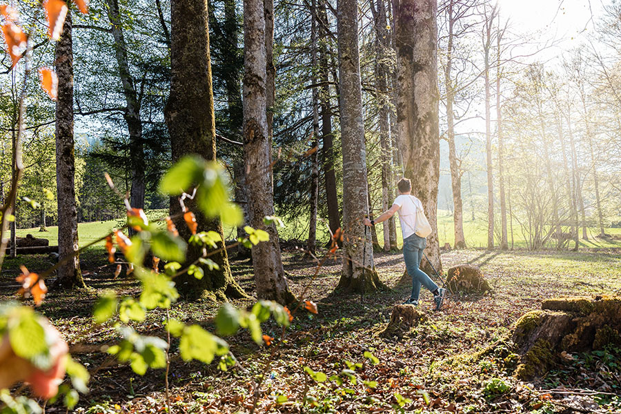 Wandern rund ums Schloss